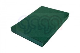 Karton DELTA skóropodobny zielony A4 DOTTS opakowanie 100 szt.