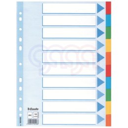 Przekładki karton A4 10 kart ESSELTE 100193 kolorowe z kartą opisową