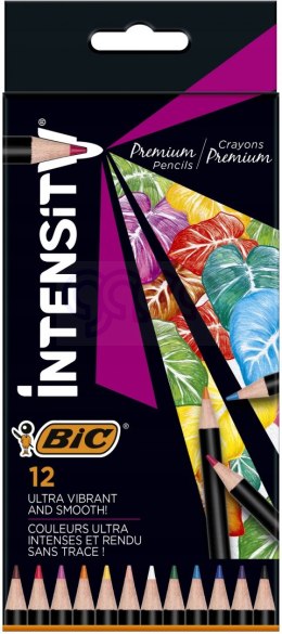 Kredki ołówkowe BIC Intensity Premium 12kol 951844