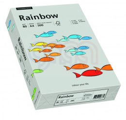 Papier xero kolorowy RAINBOW szary R96 88042805