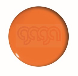 Magnesy do tablic niebieskie 40 mm/4 Tetis