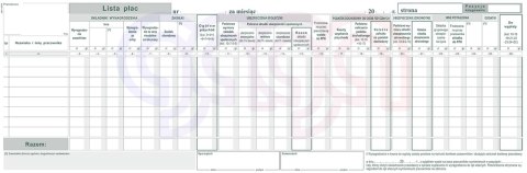 Długopis w gwiazdki SUPERFINE z supercienką końcówką, 0,5mm zielony TO-059 Toma