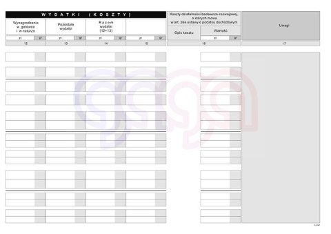 K-5u Podatkowa księga przychodów i rozchodów (dla prowadzących księgę za pomocą komputera lub za pośrednictwem biura rachunkoweg