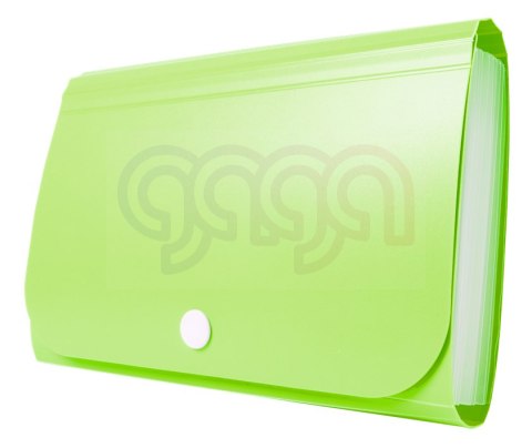 Mini organizer PP BT613 BT613-V