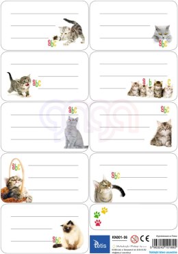 Naklejki na zeszyty i książki,zest. - 25 ark. Tetis