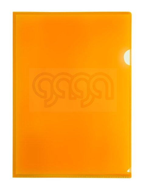 Obwoluta kamuflażowa A4 BT615 BT615-P