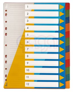 Przekładki PP A4 numeryczne 1-12 Tetis