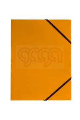 Teczka kartonowa z gumką narożną BT600 BT600-P