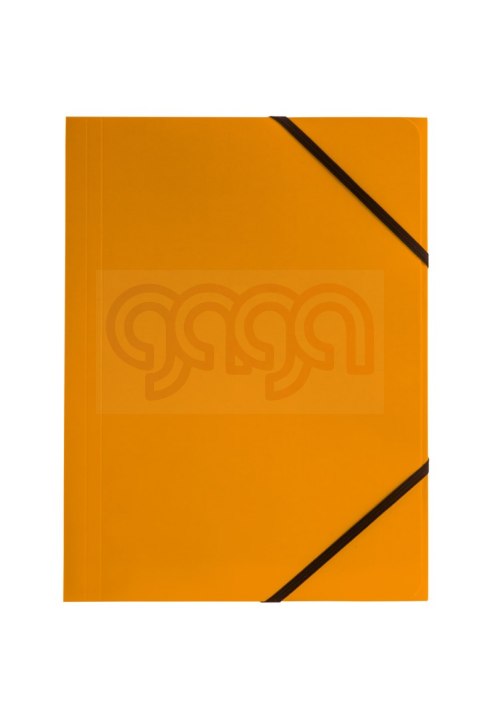 Teczka kartonowa z gumką narożną BT600 BT600-P