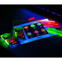 Pisak do kaligrafii PENTEL SES15 Brush Sign Pen Fluoart kpl. 5szt. FLUORESCENCYJNE