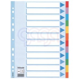 Przekładki kolorowy karton z kartą opisową A4 ESSELTE 12 kart 100194