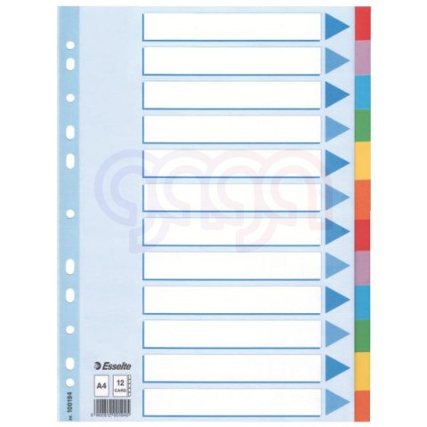 Przekładki kolorowy karton z kartą opisową A4 ESSELTE 12 kart 100194