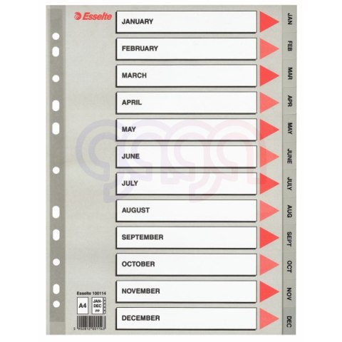 Przekładki plastikowe szare PP A4 12 miesięcy 100114 numeryczne ESSELTE
