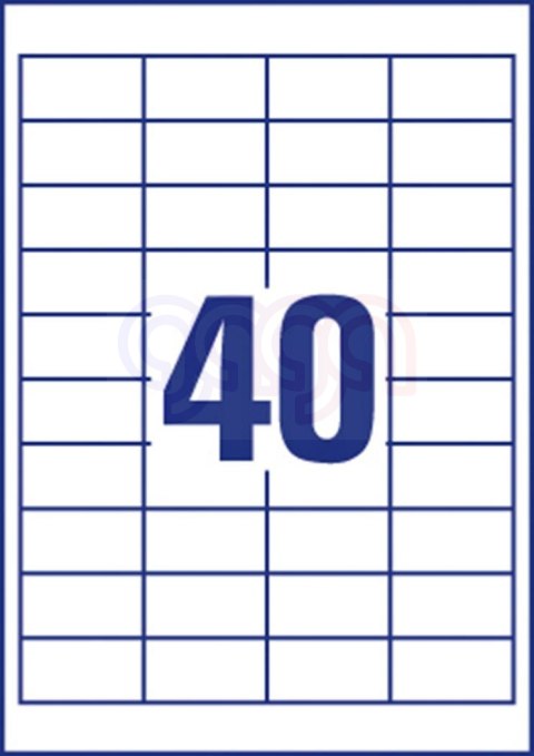 Etykiety uniwersalne ELA002 48,5 x 25,4 100 ark Economy Europe100 by Avery Zweckform