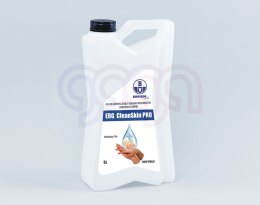 Płyn do dezynfekcji rąk grejpfrutowy 5L ERG CleanSkin PRO alkohol/gliceryna BORYSZEW (nakrętka)