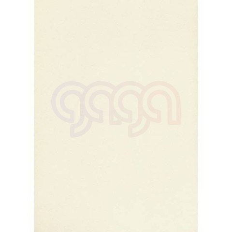 Karton wizytówkowy A4 W20 tłoczony ecrui (20 arkuszy) 246g KRESKA 910