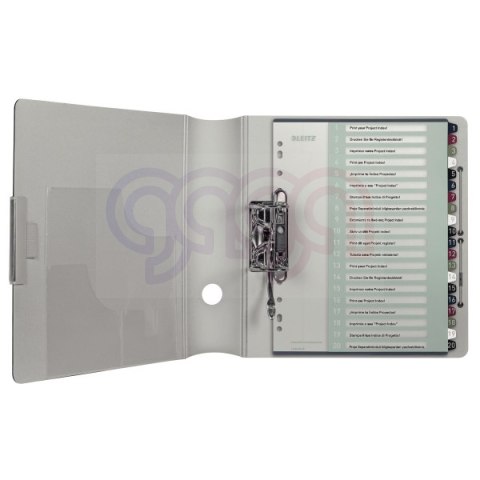 Przekładki plast. do nadruku tekstu na kartę, Leitz Style, 1-20 12390000