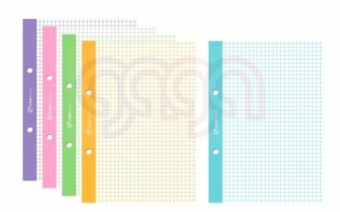 Wkład do segregatora A5 50k kolorowy margines kratka WKDOSEA5F Interdruk