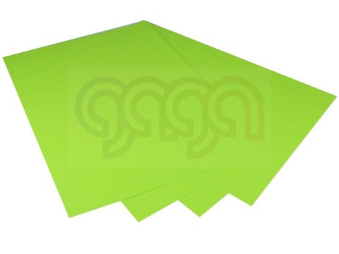 Karton kolorowy Oxford B1 225g 25ark nr.66 j.zielony 400150267 TOP-2000