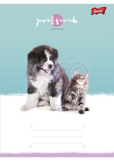 Zeszyt A5 32k linia dwukolo.L mix dziewczęcy laminowany UNIPAP *6991