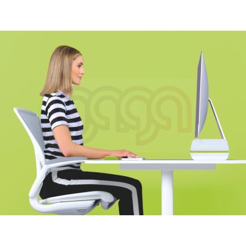 Podstawka pod monitor Leitz, zielona 65040054