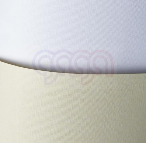 Papier ozdobny HOLLAND kremowy (50) 100g 206302 GALERIA PAPIERU