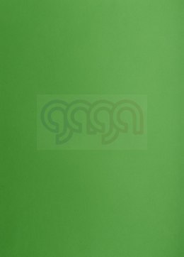 Karton kolorowy A3 160g 25ark zielony 400150241 OXFORD