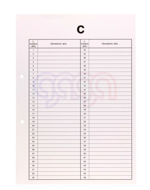 Przekładki do akt osobowych C BIURFOL DRU-055C