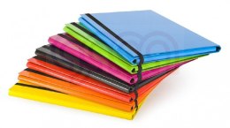 Teczka skrzydłowa z gumką CARIBIC 2cm różowa VAUPE, 342/11