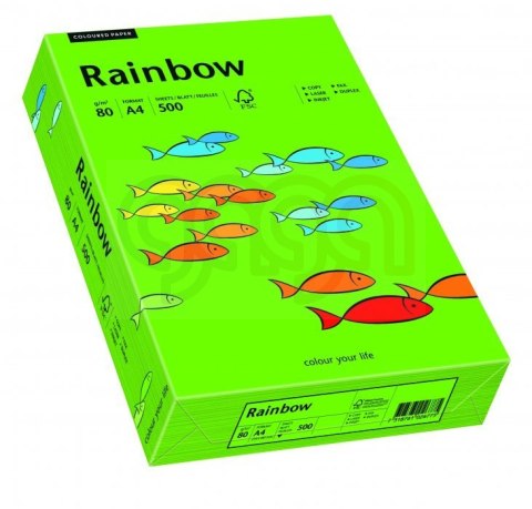 Papier xero kolorowy RAINBOW ciemnozielony R78 88042673