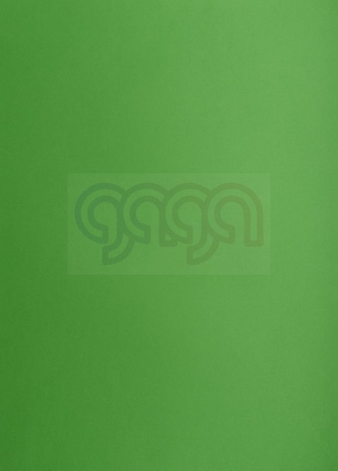 Karton kolorowy Oxford B1 225g 25ark nr.68 zielony 400150268 TOP-2000