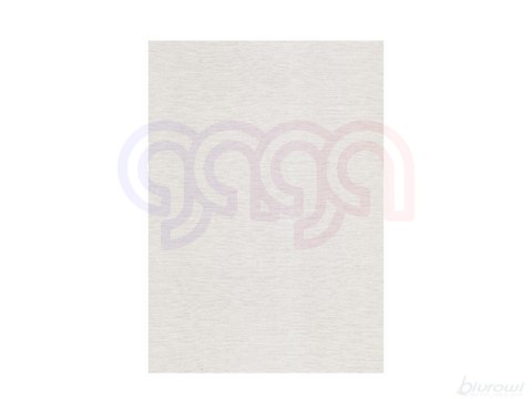 Karton wizytówkowy A4 W02 płótno biały (20 arkuszy) 246g KRESKA