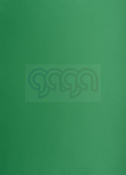 Karton kolorowy Oxford B2 225g 25ark nr.63 c.zielony 400150339 TOP-2000