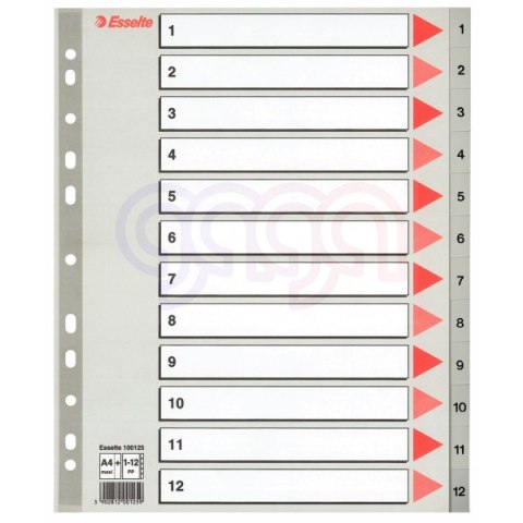 Przekładki plastikowe szare PP alfabetyczne A4 Esselte, 1-12 maxi, , 100125