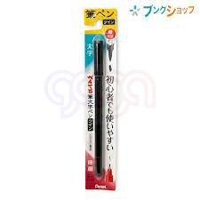 Dwustronny pędzelek do kaligrafii i liternictwa XSFW34A PENTEL